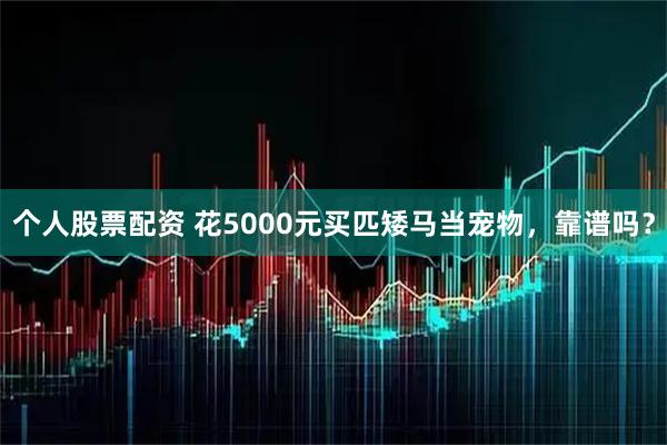 个人股票配资 花5000元买匹矮马当宠物，靠谱吗？