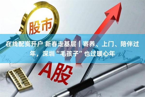 在线配资开户 新春走基层|寄养、上门、陪伴过年,深圳“毛孩子”也过暖心年