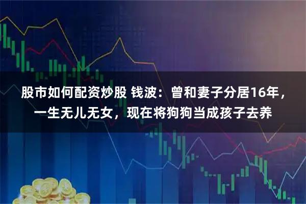 股市如何配资炒股 钱波：曾和妻子分居16年，一生无儿无女，现在将狗狗当成孩子去养