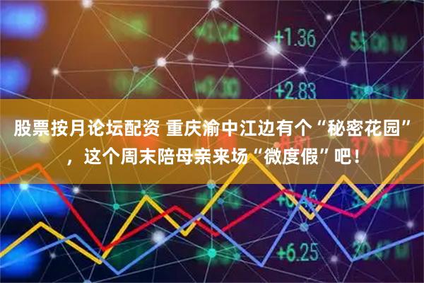 股票按月论坛配资 重庆渝中江边有个“秘密花园”，这个周末陪母亲来场“微度假”吧！